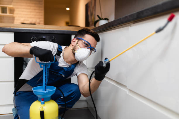 Best Residential Pest Control  in Inesville, GA