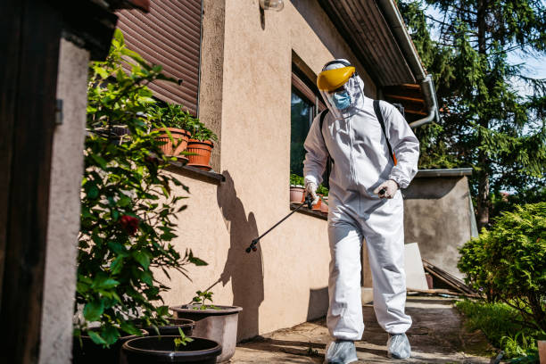 Wildlife Control Services in Gainesville, GA
