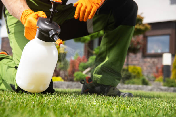 Best Emergency Pest Control  in Inesville, GA