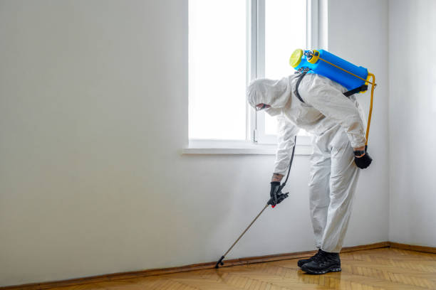 Best Local Pest Control Services  in Inesville, GA