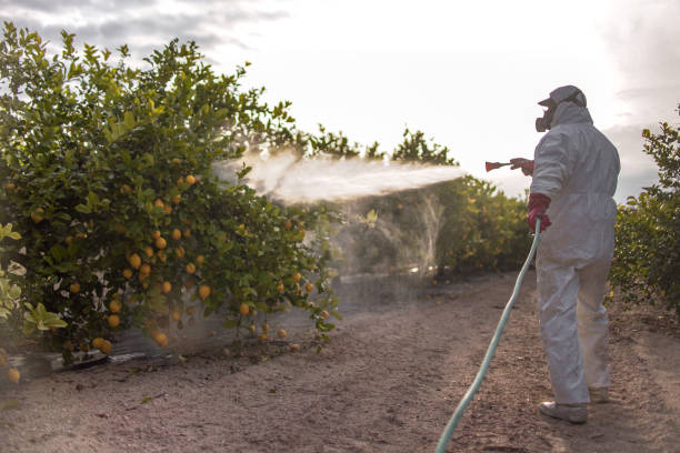Best Pest Removal Services  in Inesville, GA