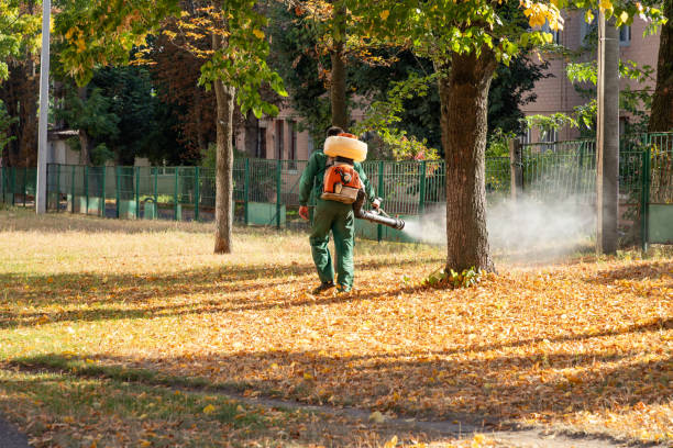 Best Best Pest Control Companies  in Inesville, GA