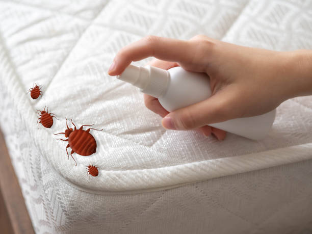 Best Affordable Pest Control Services  in Inesville, GA