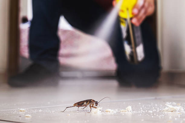 Best Flea Control Services  in Inesville, GA